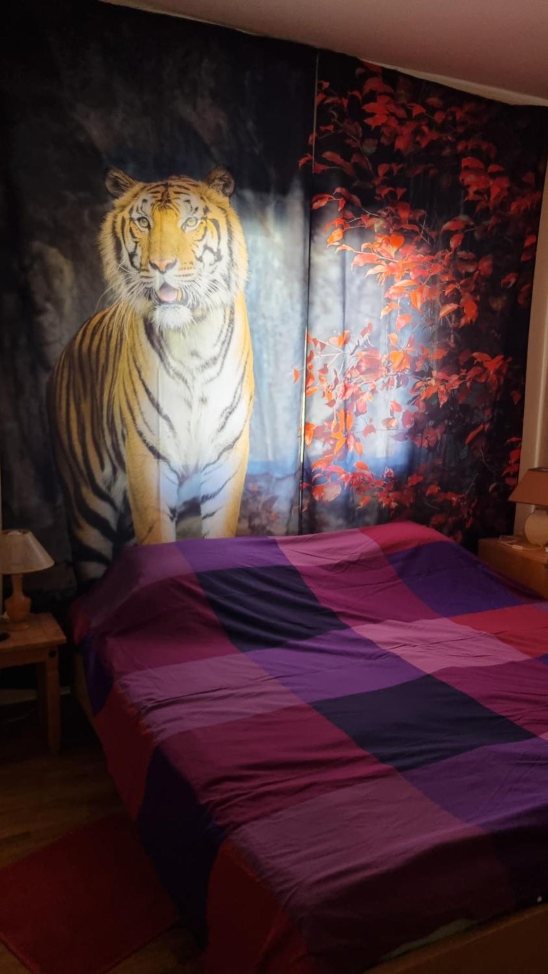 #Pissouri #Писсури 1+1Bed 아파트 외부 사진